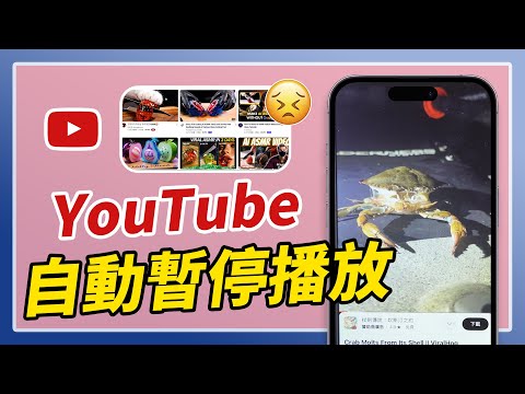 YouTube 自動停止播放？6 招解決長時間播放中斷問題！