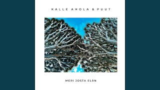 Juhannusyönä (albumiversio)