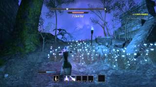 The Elder Scrolls Online: Destruction staff