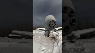 Alaskan A-10 Thunderbolt (Eielson AFB)