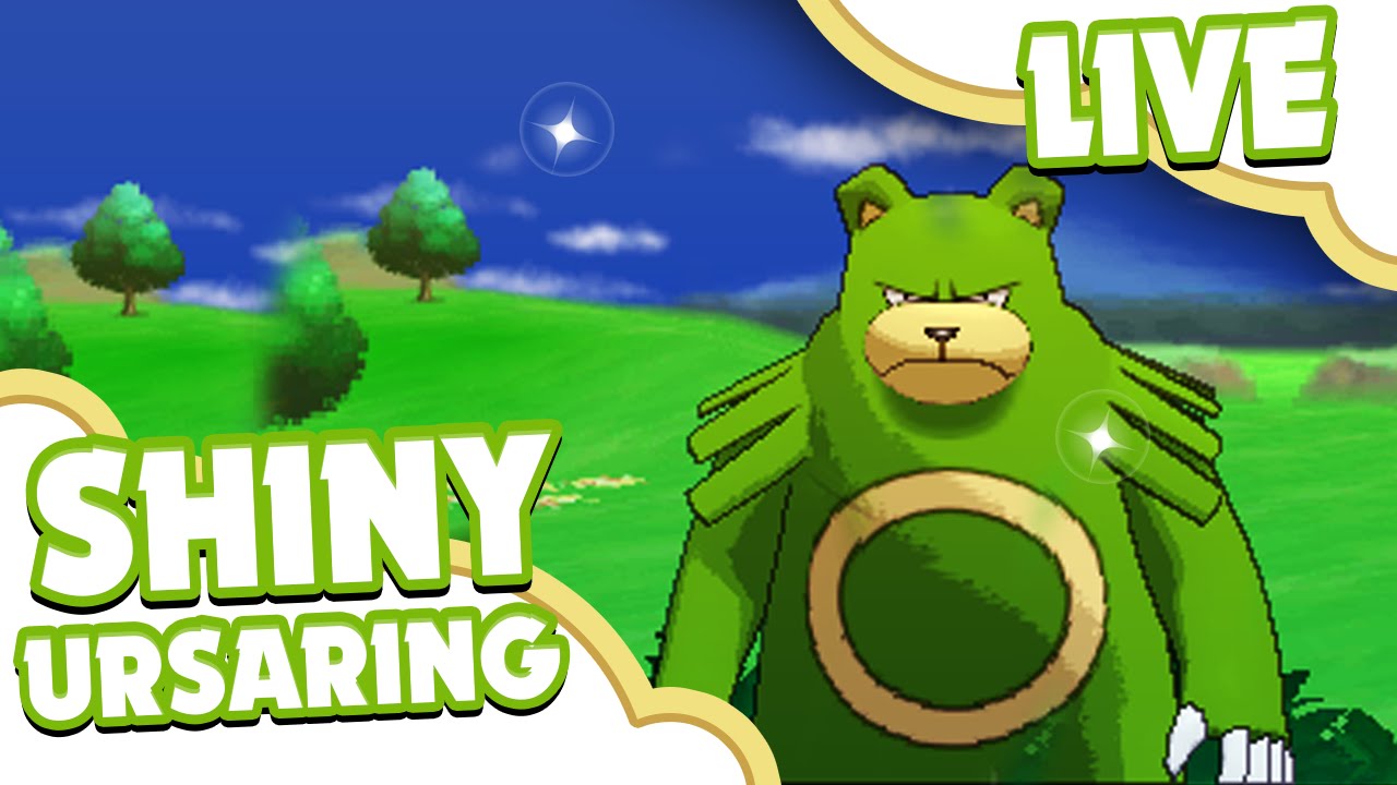 Live Shiny Ursaring At A Chain 40 Shiny Patch Via watch v=LyFuXMN81is