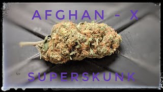 Strain Review - Afghan X SuperSkunk