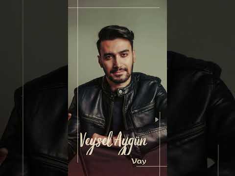 Veysel Aygün - Vay  #VeyselAygün #şarkılar #müzik