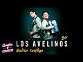 Los Avelinos 3G - Voy a tomar │ Cd Bailar contigo