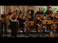 Capture de la vidéo W.a. Mozart: Sinfonie Nr. 25 G-Moll Kv 183, 1. Satz | Freiburger Barockorchester | Br-Klassik