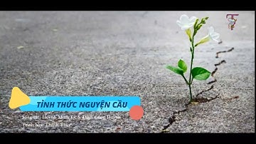 Tỉnh Thức Nguyện Cầu (Huỳnh Minh Kỳ & Đinh Công Huỳnh) - Trình bày: Thanh Thúy