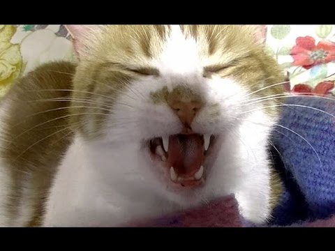 NaN / NaN Back undefined Skip navigation Search Search Sign in 