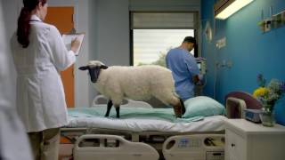 Stevie Boothe - Seton Humancare Commercial