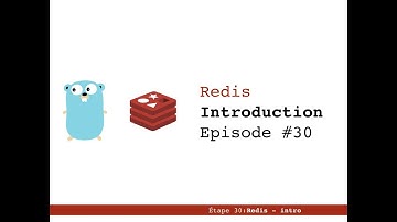 30 - Introduction to Go : Redis + Go [Niveau moyen]