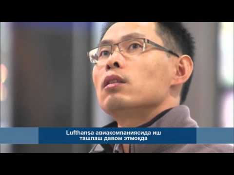 Video: Lufthansa Nega Ish Tashlash Qilmoqda