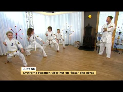 Video: 11 Typer Av Karate: Funktioner, Viktminskning, Självförsvar Och Mer