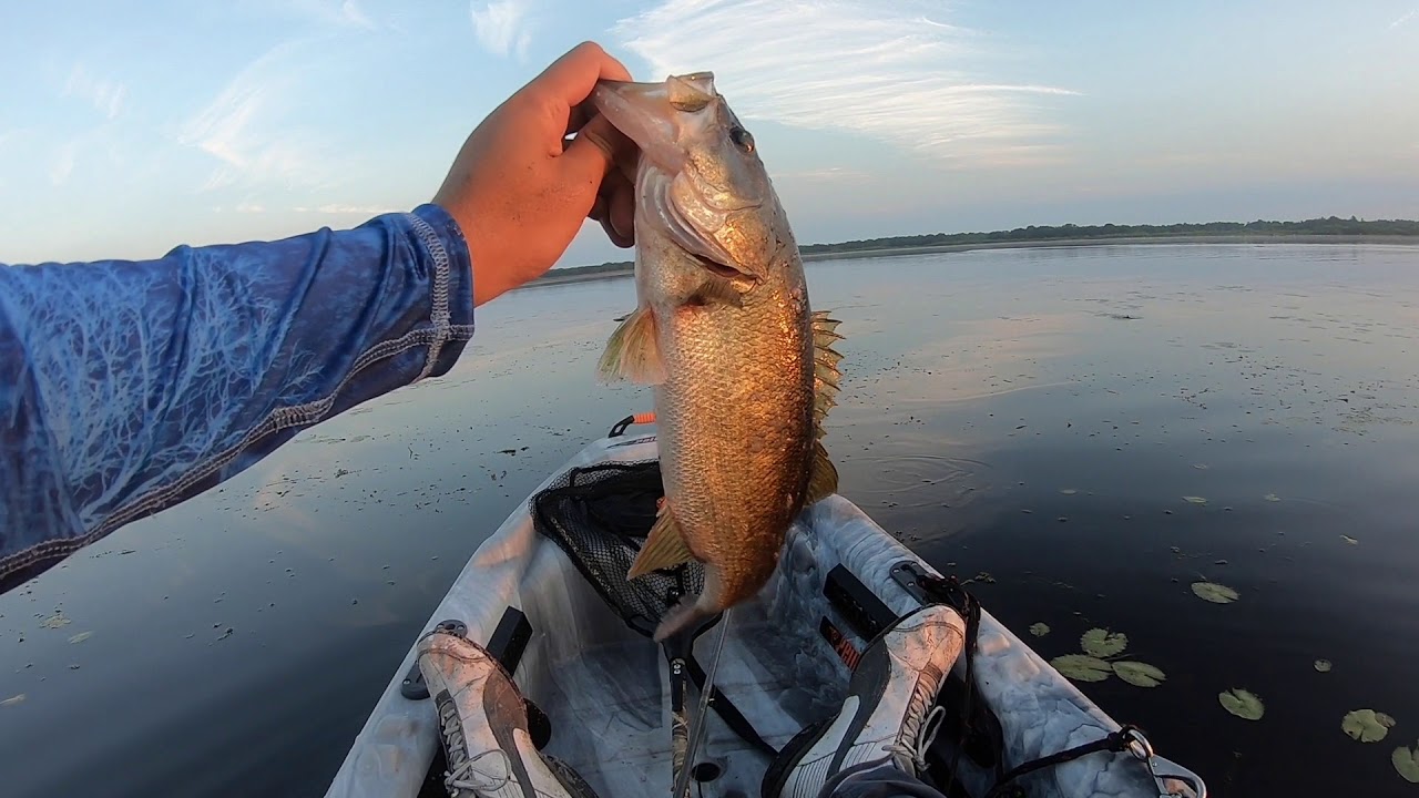 Fishing Lake Jackson Kissimmee YouTube
