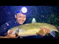 Ng phi trm vng thy li ca sng ng nai big fish fishing in the rain forest