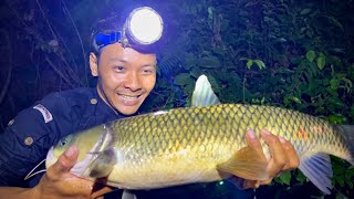 Hái Loại Trái Này Làm Mồi Câu Dính Ngây Cá Lớn | Big fish fishing in the rain forest