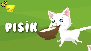 Zarok Tv - 🎵 Pisîk🎵