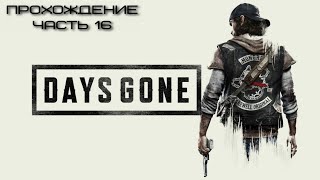 Выживанием в Days Gone. Первое прохождение. PS5. Часть 16(Финал)