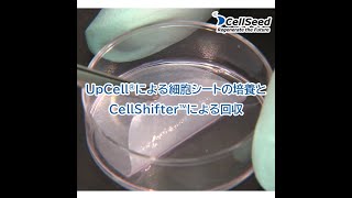 温度応答性培養器材「UpCell®」による細胞シートの培養と細胞シート回収用支持体「CellShifter™」による回収 -株式会社セルシード-