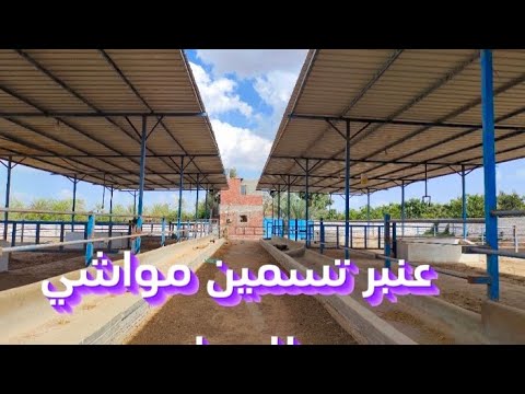 عنبر تسمين مواشي للايجار طريق مصر اسكندريه الصحراوي سفنكس للتسويق العقاري