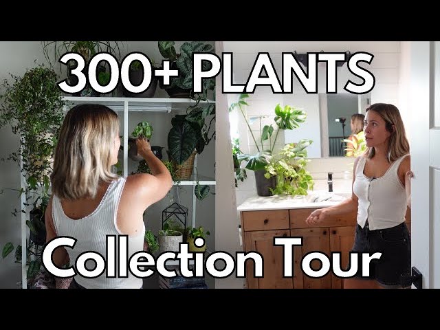 14+ Harli G Plant Shop