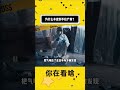 为什么粉泥封不住湿臭? #youtube精选 #知识渊博