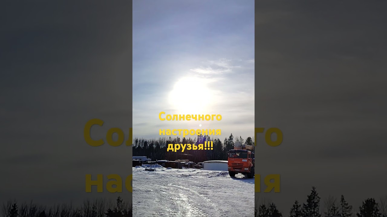 10 ноября 2024 г.