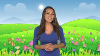 A Beautiful Field Of Wild Flowers Background Cartoon