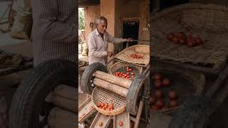 🍅 पुराने ऑटो व्हील से सब्जी छांटने की मशीनDesi Vegetable Sorting Machine Viral #desijugaad