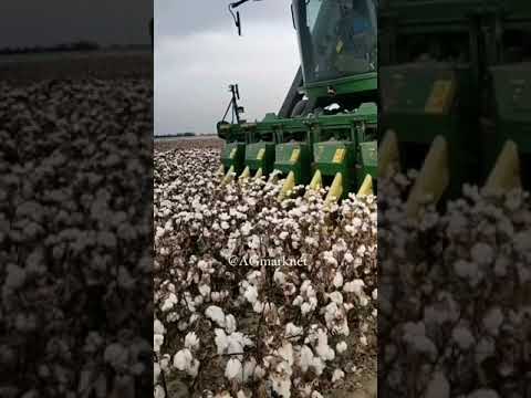 ماكينة حصاد القطن