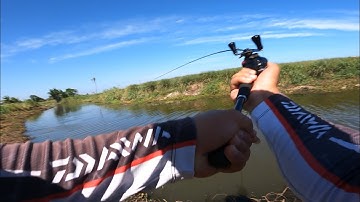 câu cá lóc thiên nhiên #2 tân phú đông, Thái Thanh fishing