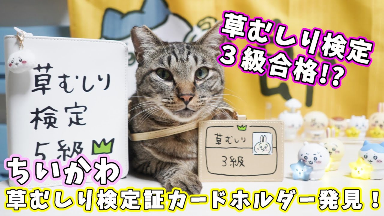 ちいかわ ピンズコレクション ハチワレ 草むしり検定 5級