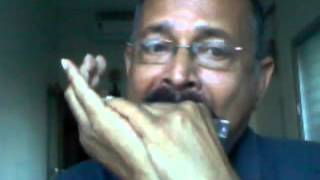 Video thumbnail of "yeh dil na hota bechara - harmonica"