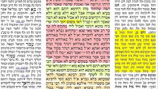 הדף היומי מסכת בכורות דף לו 36 חמישי י״ח אייר תשע״ט Daf yomi Bechoros daf 36 Shmuel Navon