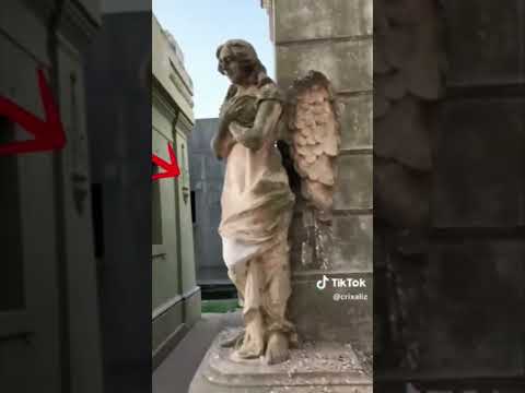 Los videos más