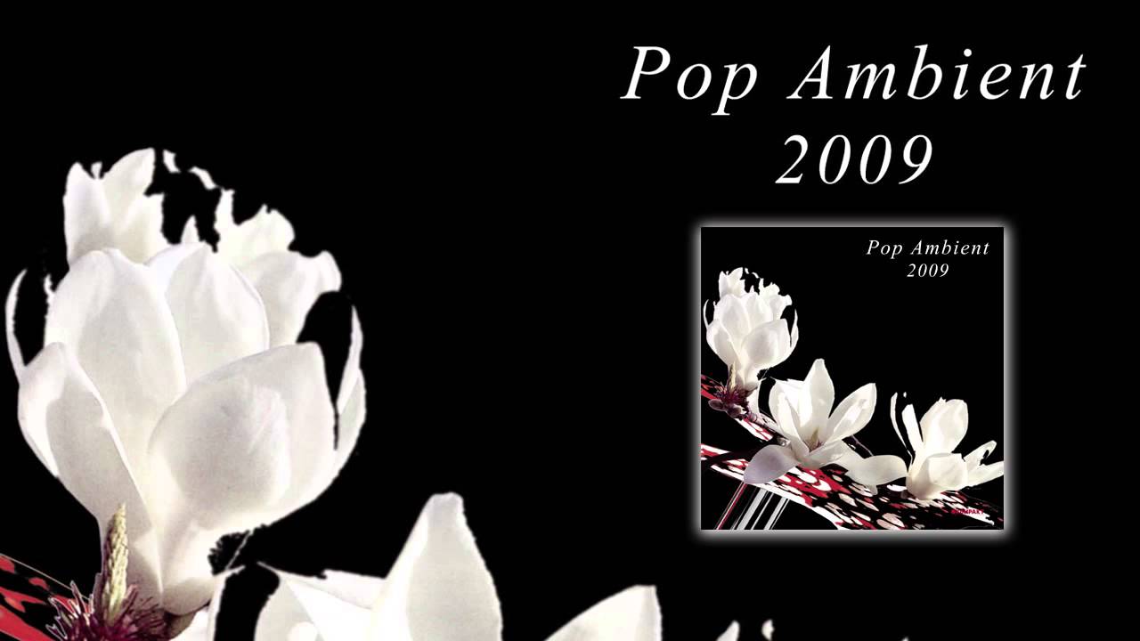 Popnoname - Nightliner 'Pop Ambient 2009' Album