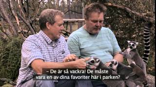 Junsele Zoo