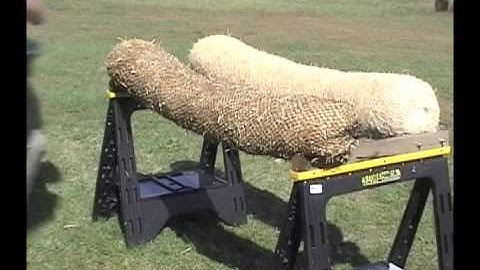 TrimmedCurlex Sediment Log Flow Video