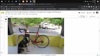 Real Time Object Detection using yolov4 || Habib Rayhan