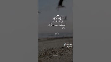 ماهر المعيقلي - سورة الاحزاب