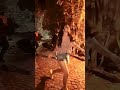 sreeleela cute 🥰 dance move #dance