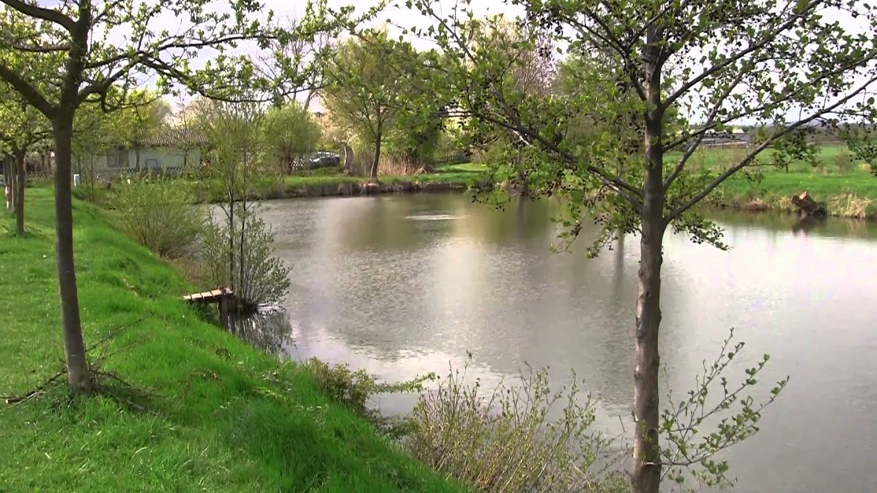 Canon Legria HF S200 ~ Testvideo ~ Full HD