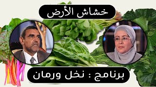 خشاش الأرض || الخبيزة - السلق - الرجلة - السكوم - الحميضة || برنامج نخل ورمان 🌴 الدكتور محمد الفايد