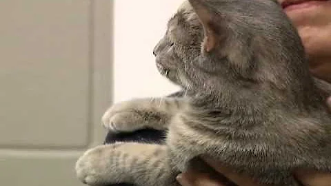 Saskatoon SPCA: Brenda Richards