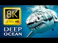 The deep ocean  8k tv ultra  full documentary