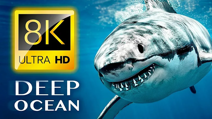 THE DEEP OCEAN | 8K TV ULTRA HD / Full Documentary - DayDayNews