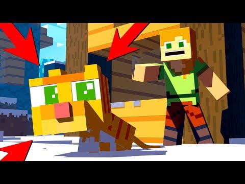 🐱-cat.-|-minecraft-animation