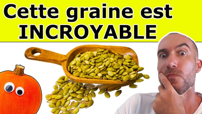 Graines De Courge : Bienfaits et Dangers 