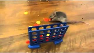 Smart mice