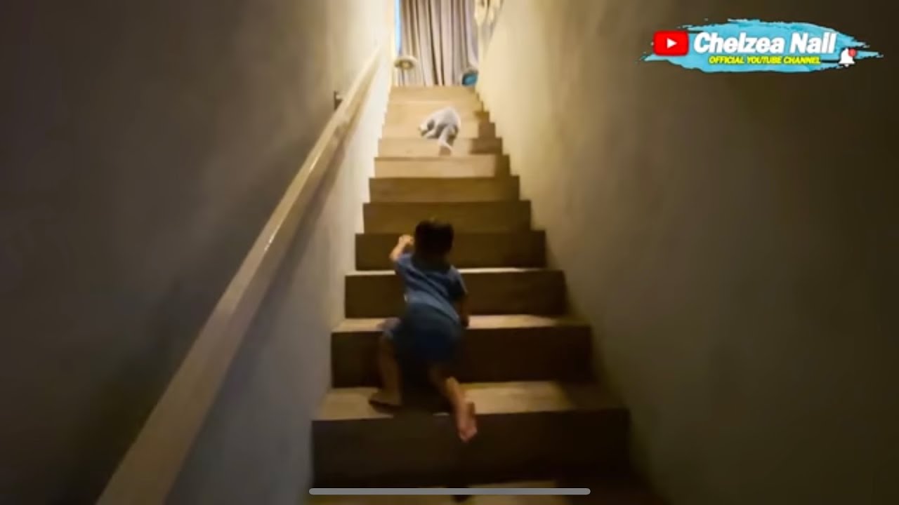 KIANO PANJAT TANGGA NGEJAR KUCING 😀