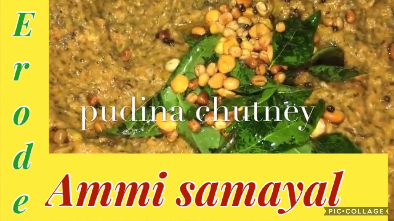 Pudina Chutney Recipe in Tamil Mint Chutney Recipe in Tamil YouTube