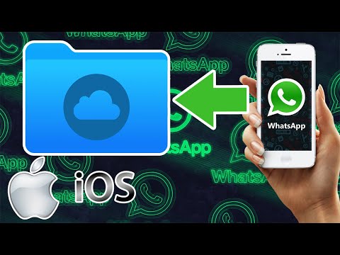 Как сделать резервную копию чатов Ватсап на Айфоне? Пошаговое руководство!